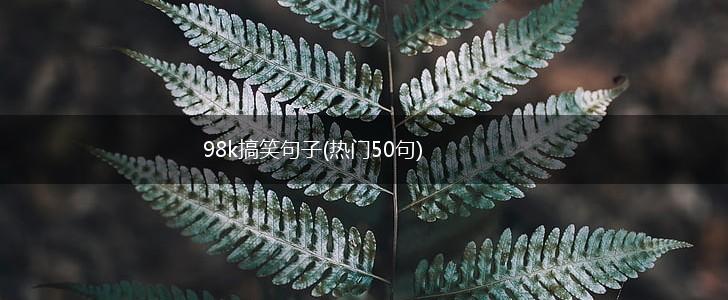 98k搞笑句子(热门50句),第1张