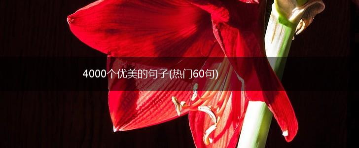 4000个优美的句子(热门60句),第1张