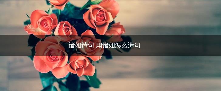 诸如造句 用诸如怎么造句,第1张