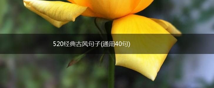 520经典古风句子(通用40句),第1张