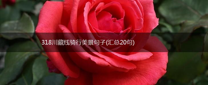 318川藏线骑行美景句子(汇总20句),第1张