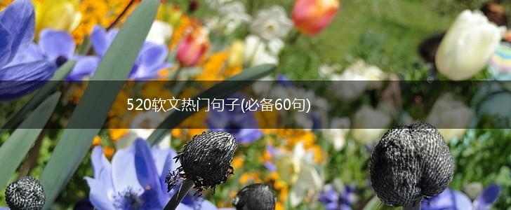 520软文热门句子(必备60句),第1张