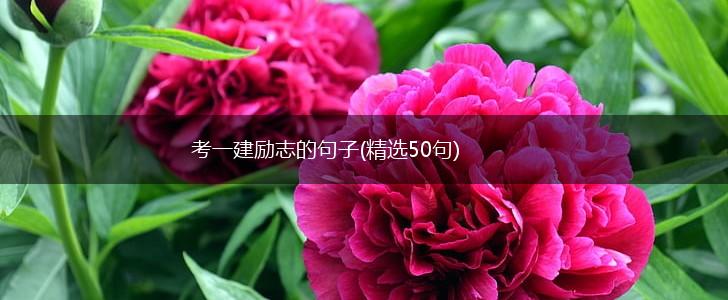 考一建励志的句子(精选50句),第1张