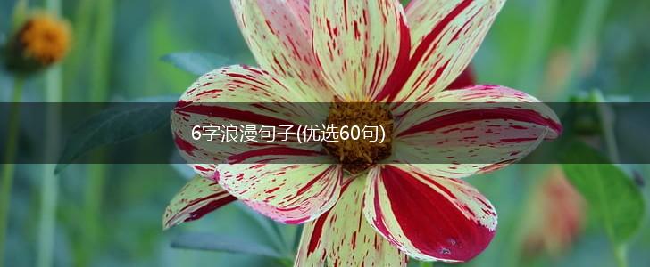 6字浪漫句子(优选60句),第1张