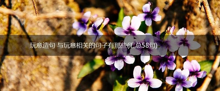 玩意造句 与玩意相关的句子有那些(汇总58句),第1张