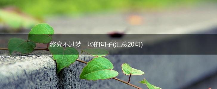 终究不过梦一场的句子(汇总20句),第1张