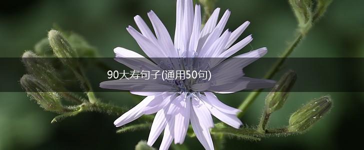90大寿句子(通用50句),第1张