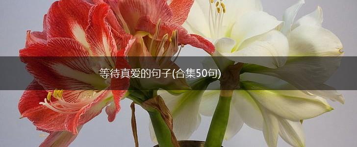 等待真爱的句子(合集50句),第1张