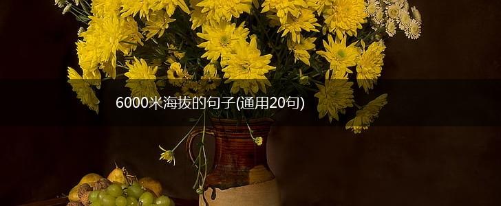 6000米海拔的句子(通用20句),第1张