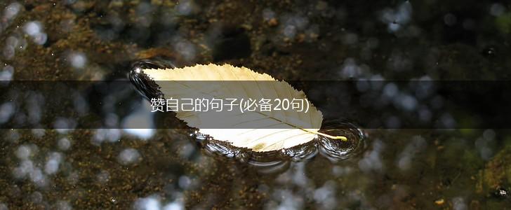 赞自己的句子(必备20句),第1张