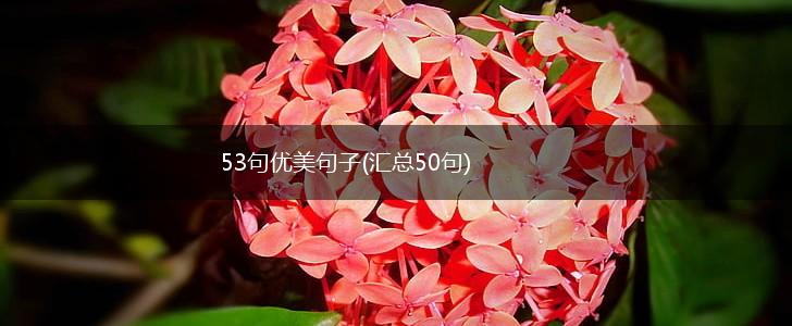 53句优美句子(汇总50句),第1张