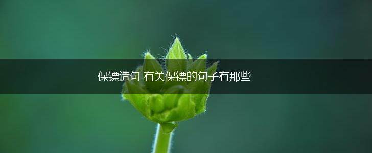 保镖造句 有关保镖的句子有那些,第1张
