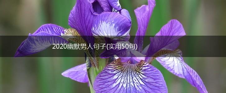 2020幽默男人句子(实用50句),第1张