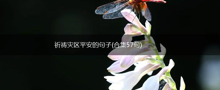 祈祷灾区平安的句子(合集57句),第1张