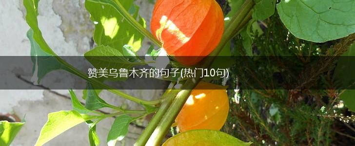 赞美乌鲁木齐的句子(热门10句),第1张