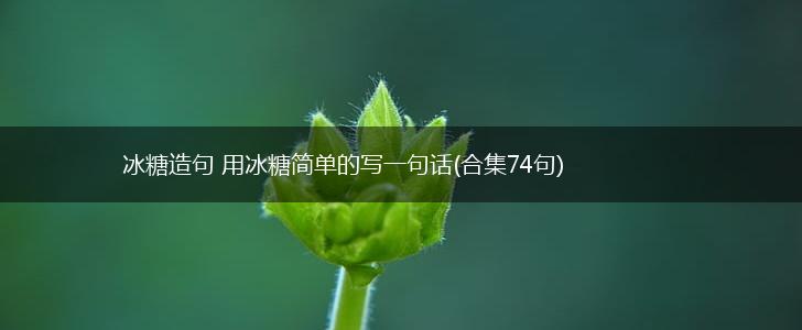 冰糖造句 用冰糖简单的写一句话(合集74句),第1张