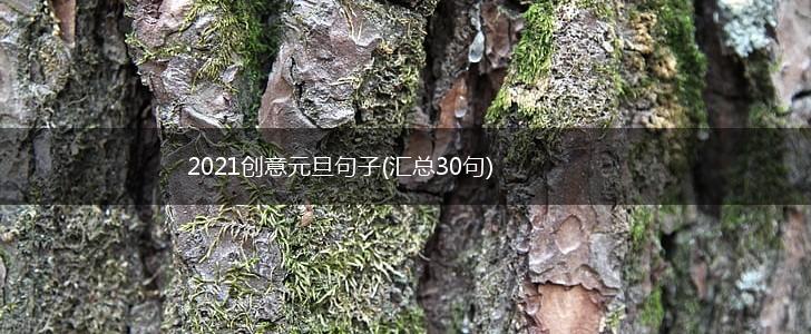 2021创意元旦句子(汇总30句),第1张