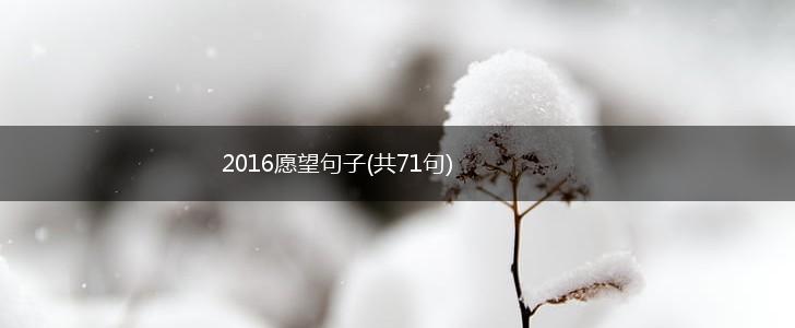 2016愿望句子(共71句),第1张