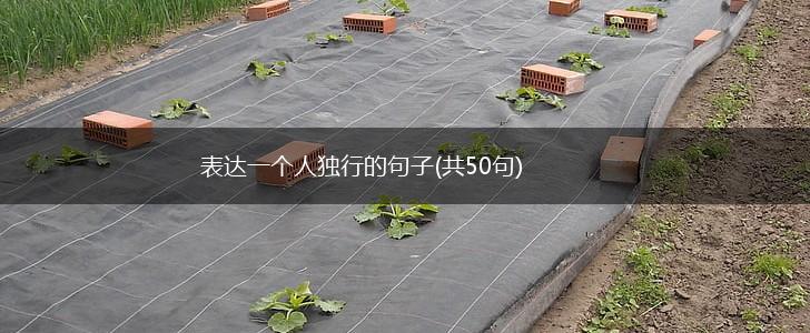 表达一个人独行的句子(共50句),第1张 表达一个人独行的句子(共50句),第1张