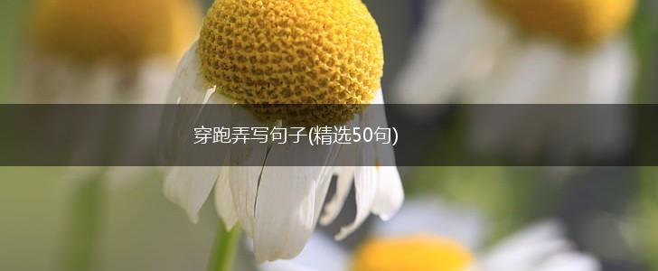 穿跑弄写句子(精选50句),第1张