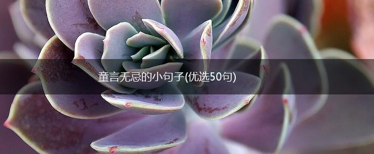 童言无忌的小句子(优选50句),第1张
