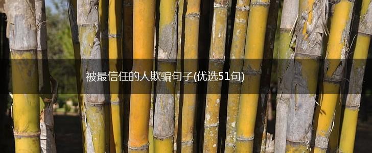 被最信任的人欺骗句子(优选51句),第1张