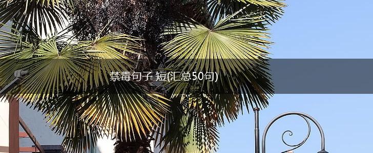 禁毒句子 短(汇总50句),第1张