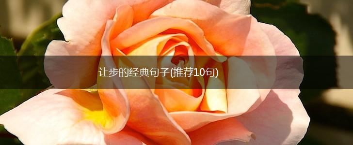 让步的经典句子(推荐10句),第1张
