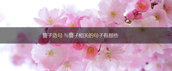簪子造句 与簪子相关的句子有那些,第1张