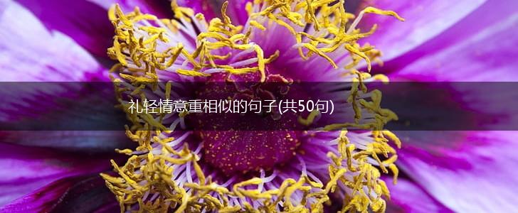 礼轻情意重相似的句子(共50句),第1张