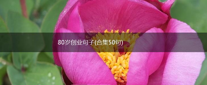 80岁创业句子(合集50句),第1张