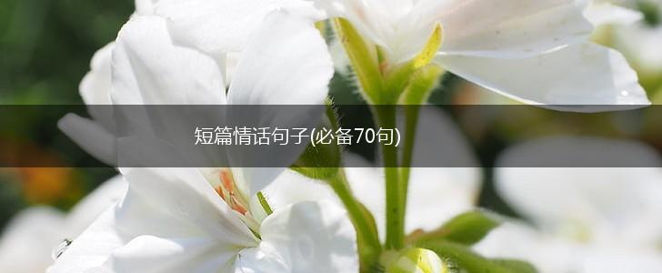 短篇情话句子(必备70句),第1张