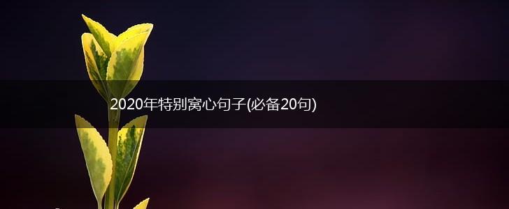 2020年特别窝心句子(必备20句),第1张