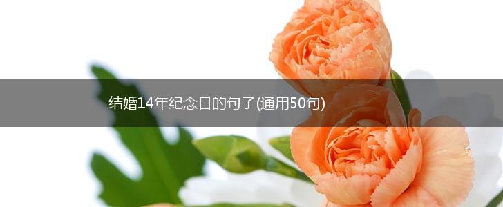 结婚14年纪念日的句子(通用50句),第1张