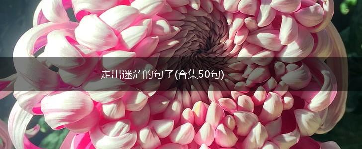 走出迷茫的句子(合集50句),第1张