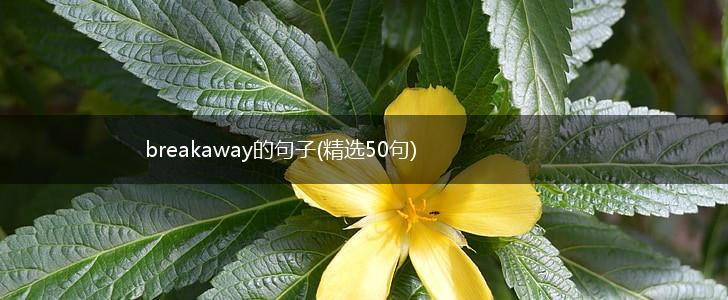 breakaway的句子(精选50句),第1张