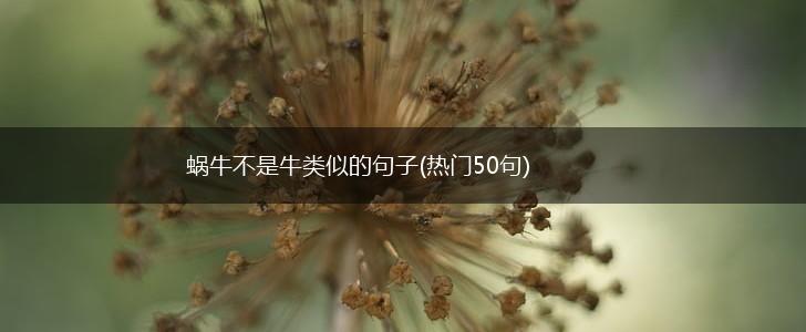 蜗牛不是牛类似的句子(热门50句),第1张