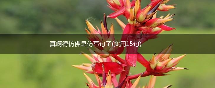 真啊得仿佛是仿写句子(实用15句),第1张