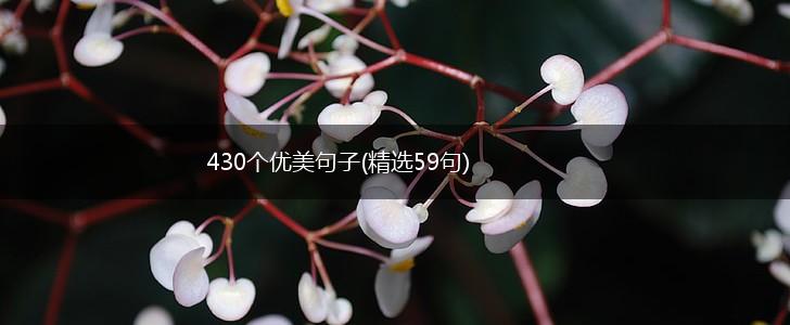 430个优美句子(精选59句),第1张