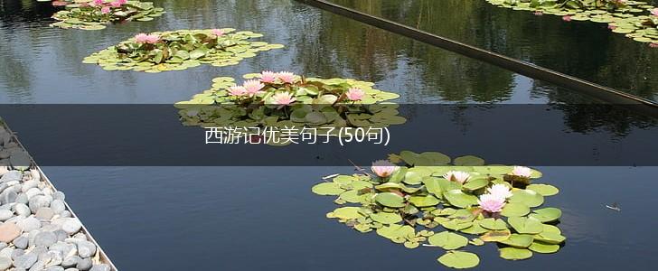 西游记优美句子(50句),第1张