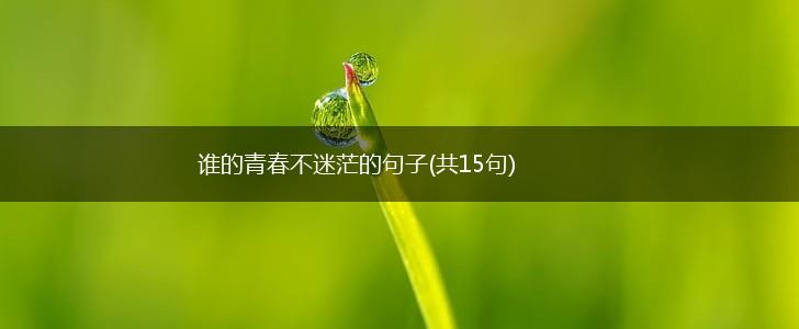 谁的青春不迷茫的句子(共15句),第1张