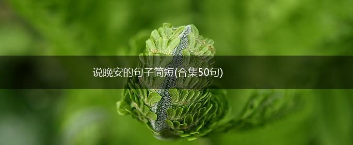 说晚安的句子简短(合集50句),第1张