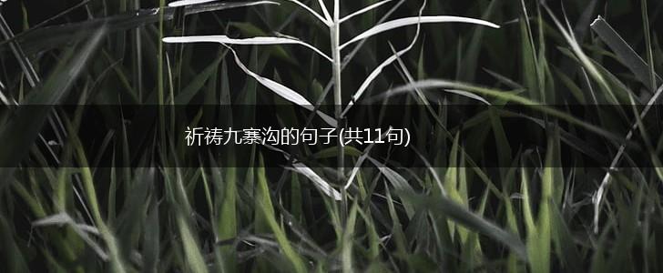 祈祷九寨沟的句子(共11句),第1张