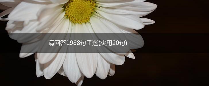 请回答1988句子迷(实用20句),第1张