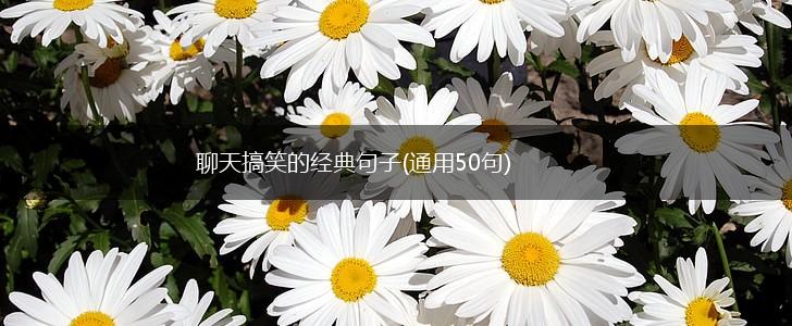 聊天搞笑的经典句子(通用50句),第1张