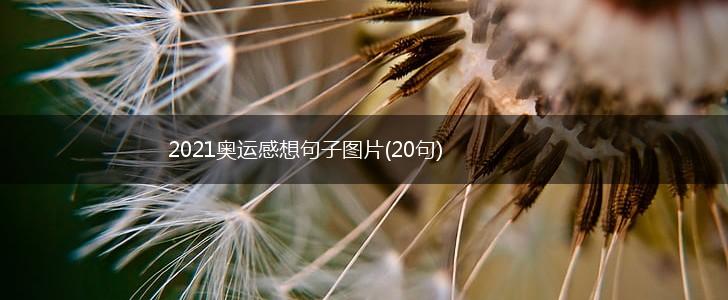 2021奥运感想句子图片(20句),第1张