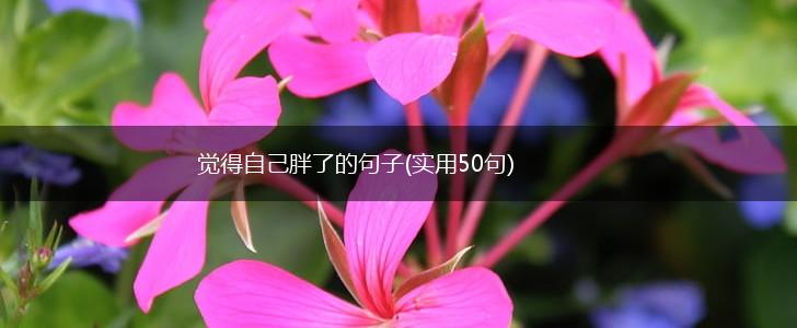 觉得自己胖了的句子(实用50句),第1张
