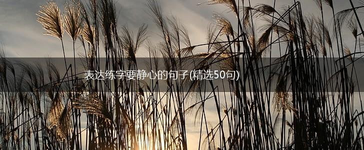 表达练字要静心的句子(精选50句),第1张