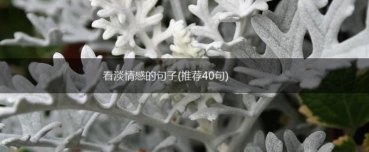 看淡情感的句子(推荐40句),第1张