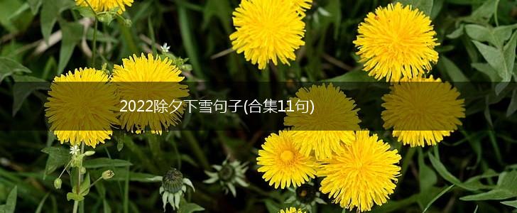 2022除夕下雪句子(合集11句),第1张